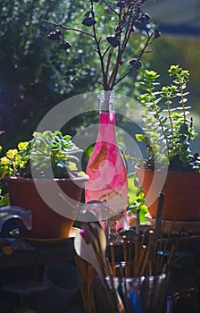 Bottles light by the afternoon in Kibbutz Kfar Glikson Israel