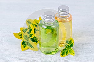 Bottles of natural shower gel and shampoo with plants