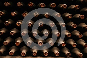 bottles of old wine in dusty cellars