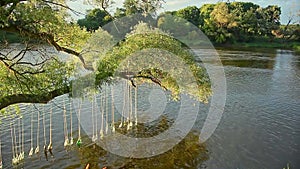 Bottles With Poems Inside River Water Landart Festival