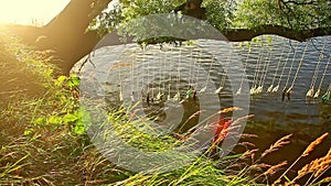 Bottles With Poems Inside River Water Landart Festival