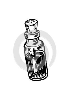 Bottles with potion. Nostrum or arcanum. Vintage engraving sketch. Doodle outline. Hand drawing. photo
