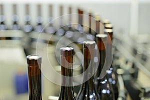 Bottles at Production Line