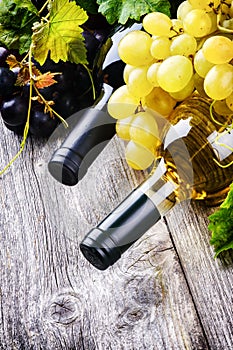 Bottles of red and white wine with fresh grape