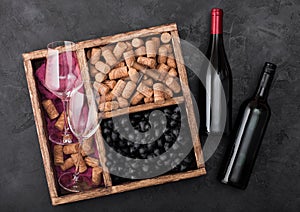 Bottles of red wine on wood with empty glasses and dark grapes with corks and corkscrew inside vintage wooden box on dark wooden