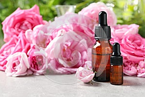 Bottles of rose essential oil and fresh flowers on grey table