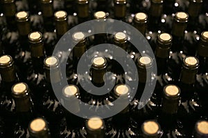 Bottles in a row at wine cellar. Stacked up wine bottles in the cellar