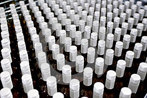 Bottles in a row at wine cellar. Stacked up wine bottles in the cellar