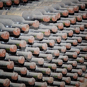 Bottles sealed with wine in storage