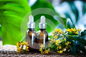 Bottles with St. John`s wort extract and flowers Hypericum, orga