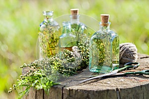 Bottles of thyme, estragon and rosemary essential oil