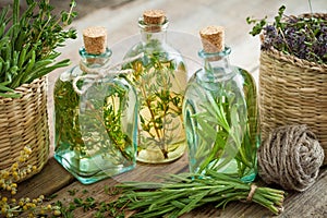 Bottles of thyme and rosemary essential oil or infusion,