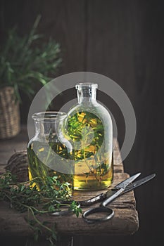 Bottles of thyme and rosemary essential oil or infusion and scissors on old table.