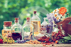 Bottles of tincture and dry healthy herbs outdoors photo