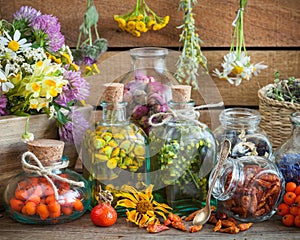 Bottles of tincture and healthy herbs