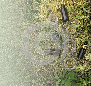 Bottles of tincture or oil and dry healthy healing herbs. Herbal medicine