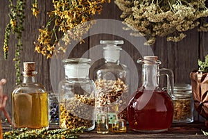 Bottles of tinctures and oils with dry herbs hanging over them