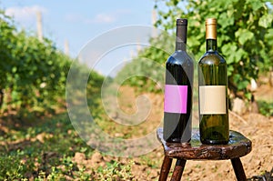 Bottles of vine with empty label.