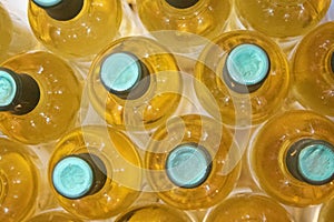 Bottles of white wine