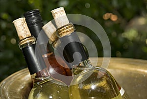 Bottles of wine