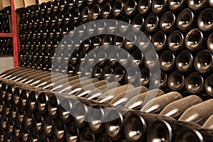 Bottles in wine cellar