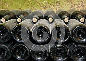 Bottles in wine cellar