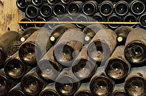 Bottles in wine cellar