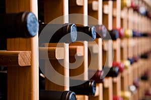 Bottles In Wine Cellar