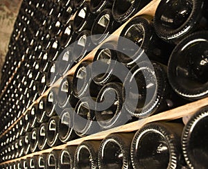 Bottles of wine in a cellar