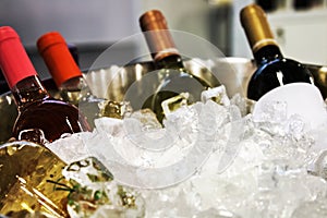 Bottles of wine in the ice at the tasting
