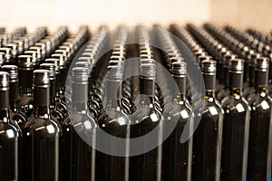 Bottles of wine in winecellar redy for packing and delivery photo