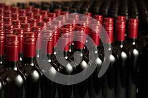 Bottles of wine in winecellar redy for packing and delivery photo