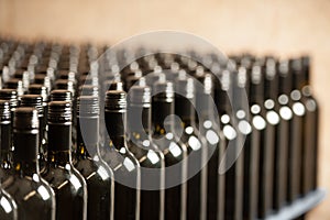 Bottles of wine in winecellar redy for packing and delivery photo