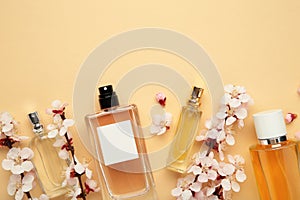 Bottles of woman perfume on beige background with spring apricot and cherry flowers