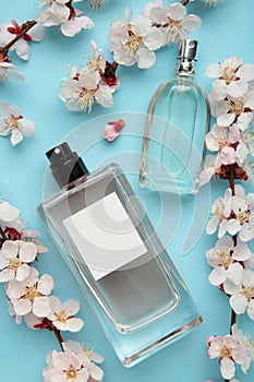 Bottles of woman perfume on blue background with spring apricot and cherry flowers