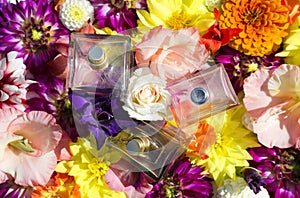 Bottles of women`s perfume against a background of various fresh flowers