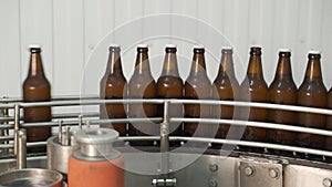 Bottling Line. Brewing technology. Bottles Moving on Conveyor Belt at Glass Bottle Factory. Clean beer bottles are