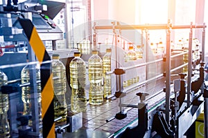 Bottling line of sunflower oil in bottles. Vegetable oil production plant.