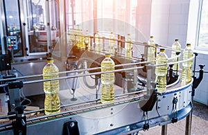 Bottling line of sunflower oil in bottles. Vegetable oil production plant.