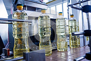 Bottling line of sunflower oil in bottles. Vegetable oil production plant.