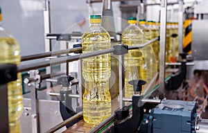 Bottling line of sunflower oil in bottles. Vegetable oil production plant