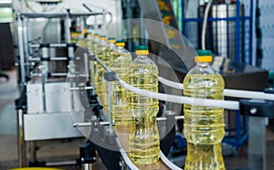Bottling line of sunflower oil in bottles. Vegetable oil production plant