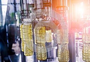 Bottling line of sunflower oil in bottles. Vegetable oil production plant.