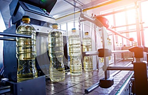 Bottling line of sunflower oil in bottles. Vegetable oil production plant.