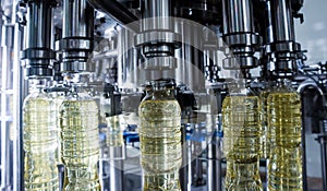 Bottling line of sunflower oil in bottles. Vegetable oil production plant.