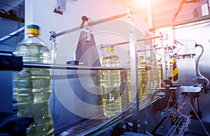 Bottling line of sunflower oil in bottles. Vegetable oil production plant