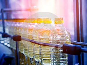 Bottling line of sunflower oil in bottles. Vegetable oil production plant