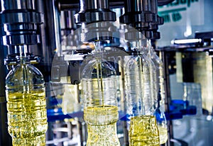 Bottling line of sunflower oil in bottles. Vegetable oil production plant