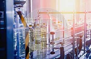 Bottling line of sunflower oil in bottles. Vegetable oil production plant.