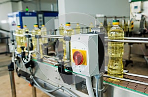 Bottling line of sunflower oil in bottles. Vegetable oil production plant.